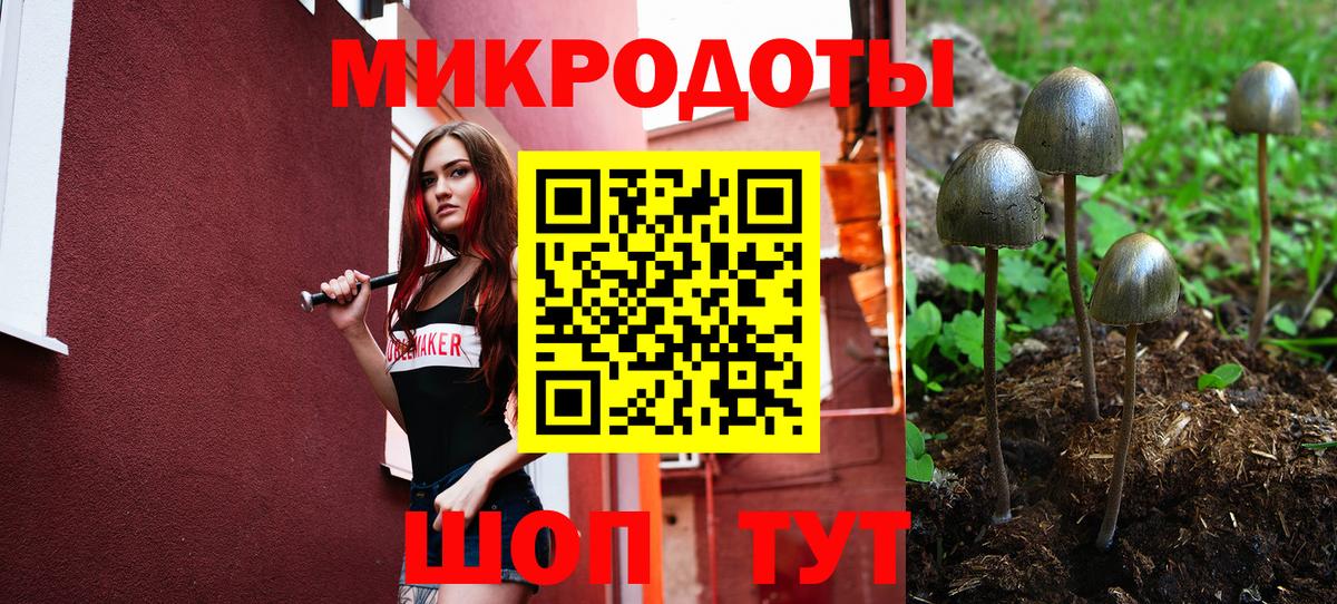 Галлюциногенные грибы ЛСД  Вход с VPN  Петропавловск-Камчатский  Псилоцибиновые грибы мицелий 