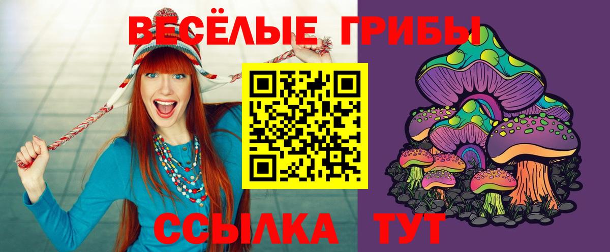 Псилоцибиновые грибы GOLDEN TEACHER Петропавловск-Камчатский